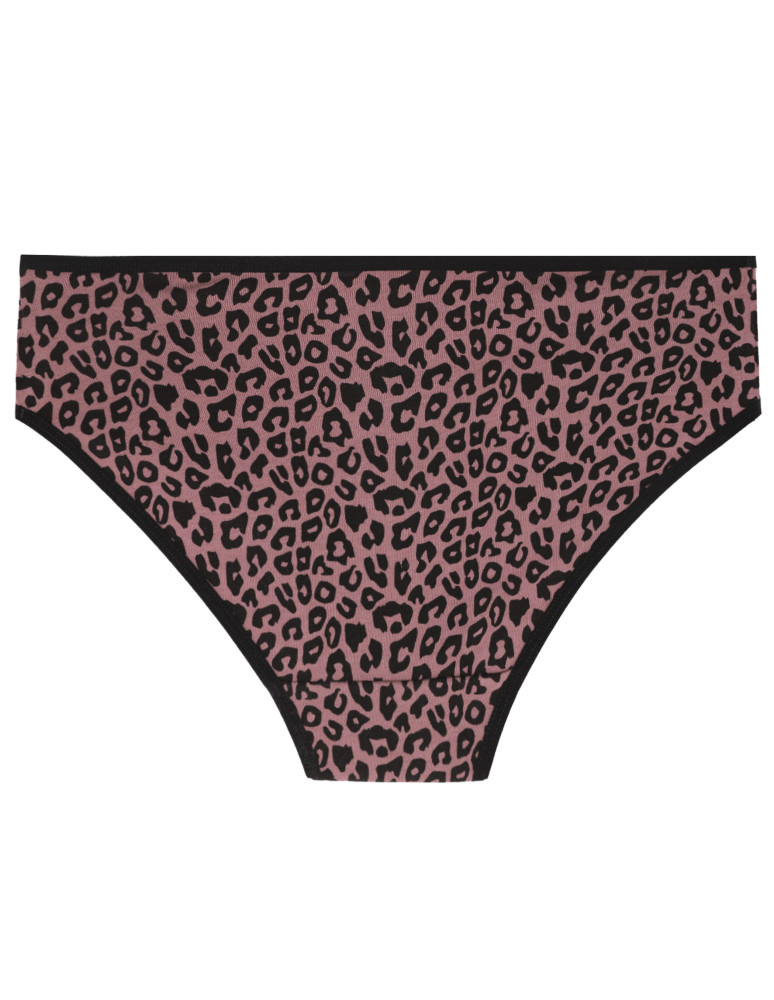 Figi - Damskie majtki figi bikini z bawełny 3-pak WIELOKOLOROWY - produkt moraj.pl 5