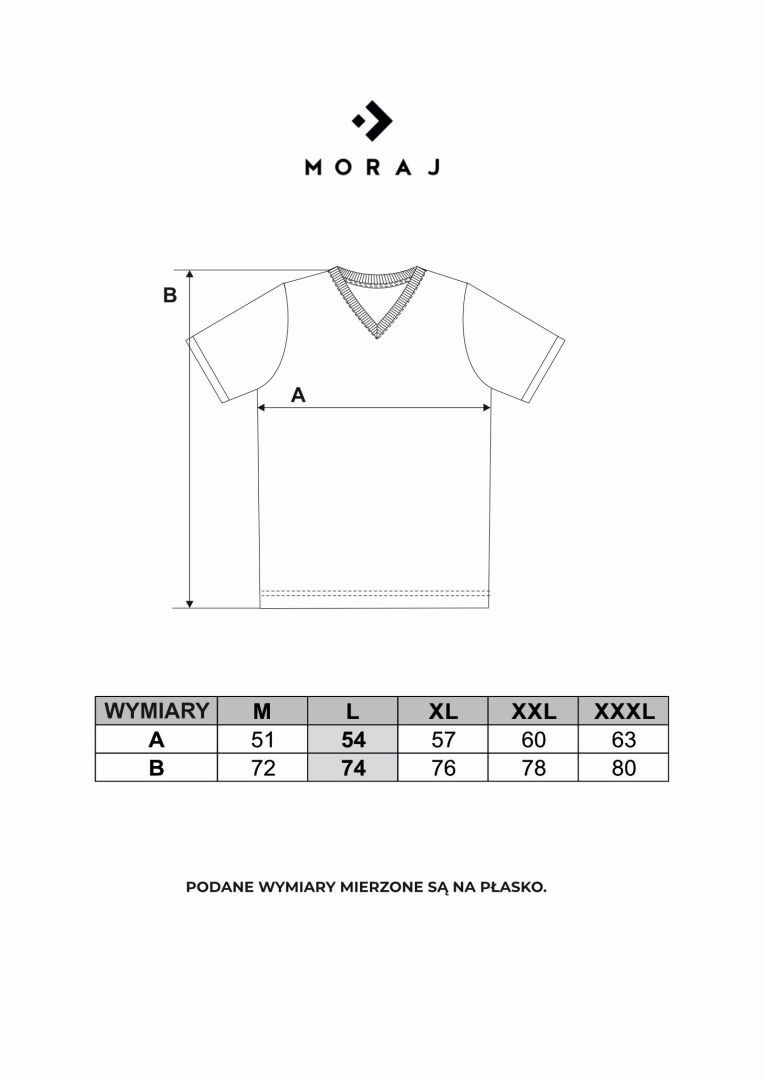 T-shirt męski bawełniany PREMIUM LINE dekolt w serek