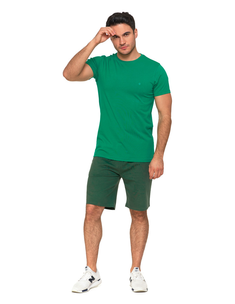 Koszulki, topy, koszule - Koszulka męska T-shirt bawełniana Premium okrągły dekolt ZIELONY - produkt moraj.pl 6