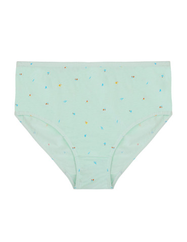 Figi - Figi majtki bawełniane plus size klasyczne 4-pak WIELOKOLOROWY - produkt 5