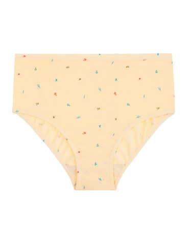 Figi - Figi majtki bawełniane plus size klasyczne 4-pak WIELOKOLOROWY - produkt 6
