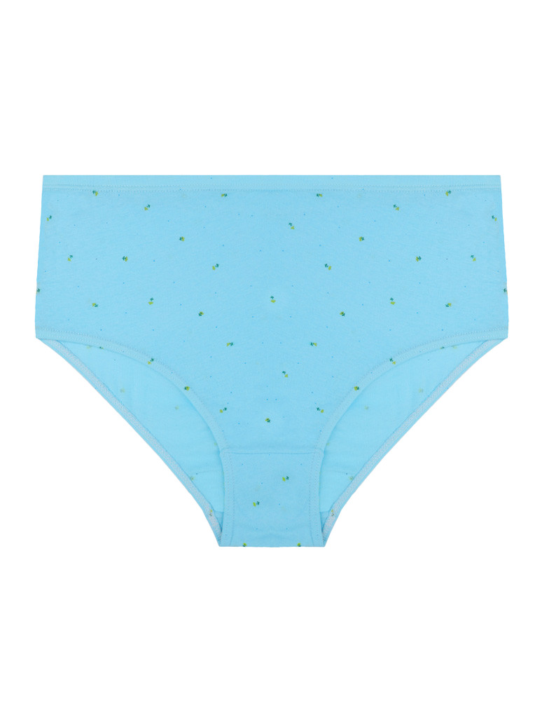 Figi - Bawełniane majtki figi klasyczne plus size 4-pak WIELOKOLOROWY - produkt moraj.pl 5